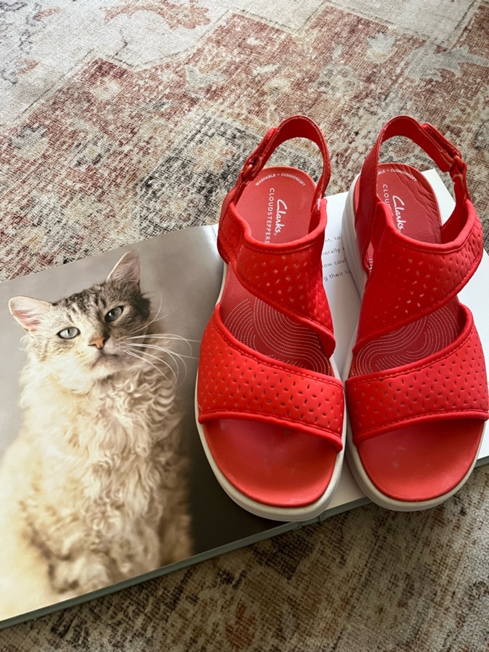 Clarks Cloudsteppers Drift Fern Sandal